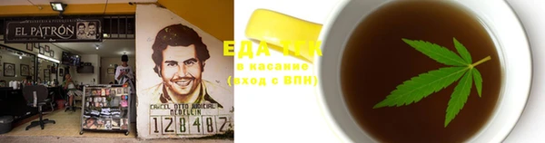 индика Новозыбков