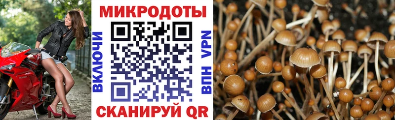 Псилоцибиновые грибы ЛСД  кракен ССЫЛКА  Краснообск 